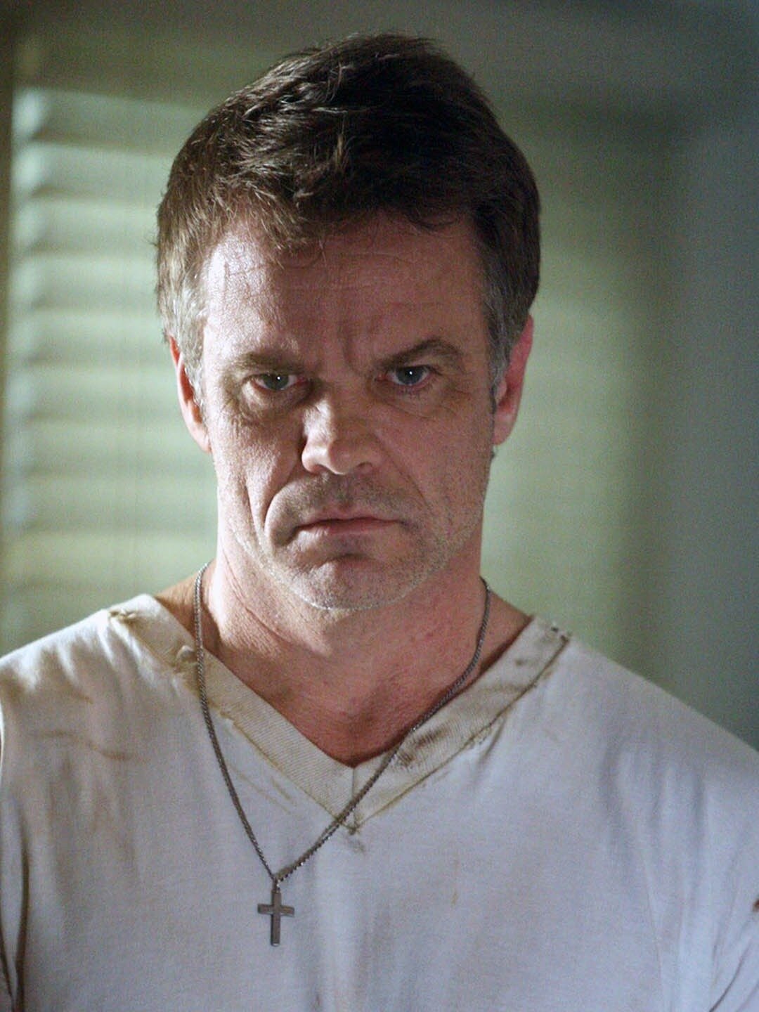 Roman Sobchek character from NCIS TV series Roman Sobchek character from NCIS TV series