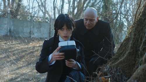 Wednesday Season 1 Episode 7 still
